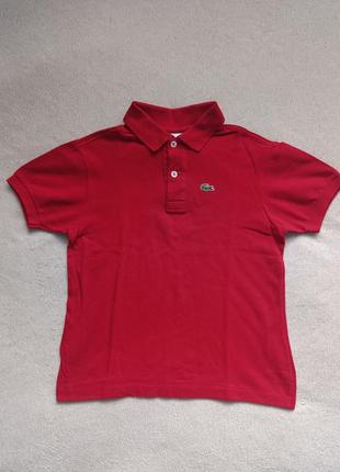 Поло lacoste