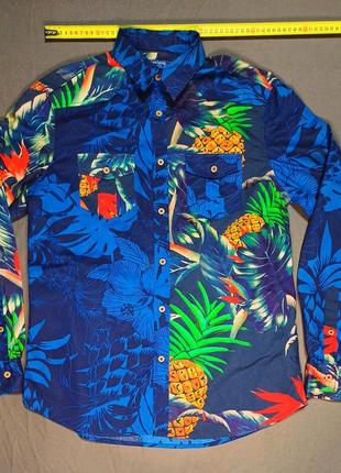 Воротник 40см desigual regular size m рубашка 100% cotton на пуговице надпись desigual