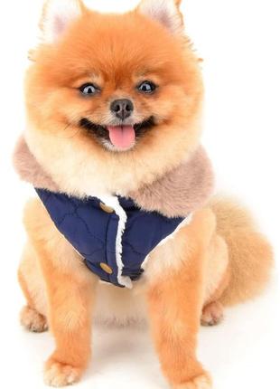 Одежда для собачек