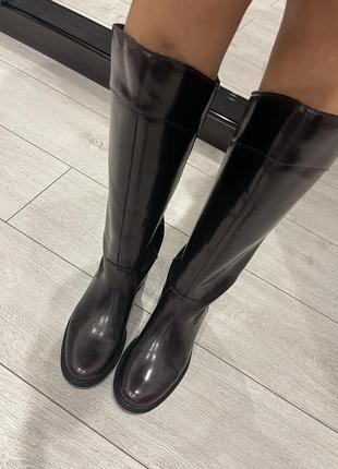 Високі чоботи zara