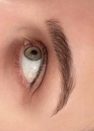 Гели для бровей украинского бренда hedonic