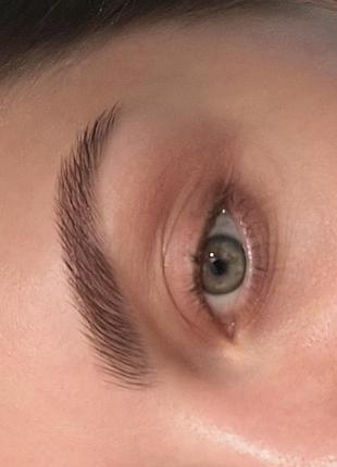 Гели для бровей украинского бренда hedonic