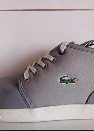 Кроссовки lacoste оригинал