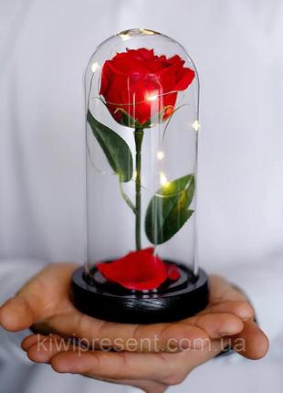 Вічна троянда в колбі з підсвічуванням, безпрограшний подарунок дівчині, квітка в колбі, подарунок на 8 березня