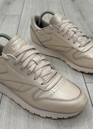 Жіночі кросівки reebok Refresh leather (25 см)