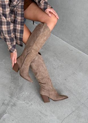 Демисезонные сапоги козаки