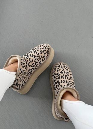 Уггі Женские зимние угги sport ugg light grey metallic suede наложка platform2 фото