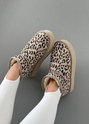 Уггі Женские зимние угги sport ugg light grey metallic suede наложка platform8 фото