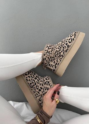 Уггі Женские зимние угги sport ugg light grey metallic suede наложка platform6 фото