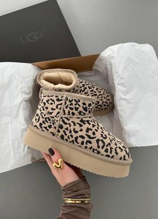 Уггі Женские зимние угги sport ugg light grey metallic suede наложка platform7 фото