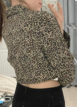 Леопардова сорочка 🐆 3
