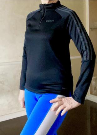 Adidas нова спорткофта