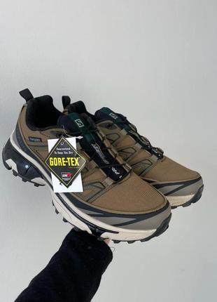 Чоловічі кросівки salomon xa pro street thinsulate gtx khaki