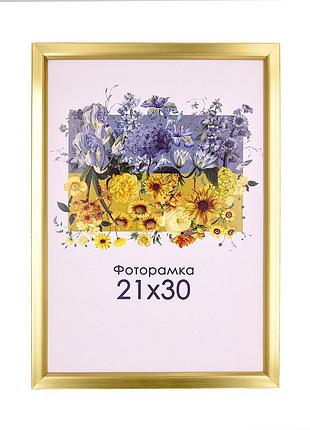 Фоторамка золота   30х40 а3 з склом (пластиковий багет)