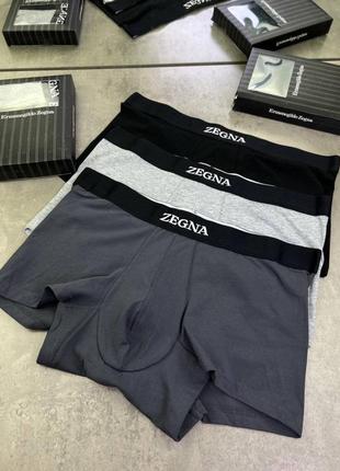 Набір нижньої білизни zegna t143