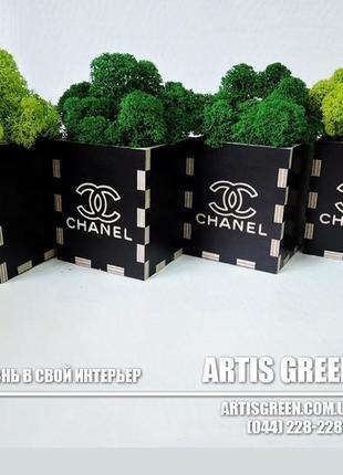 Брендовані сувеніри з мохом від "artis green", s9