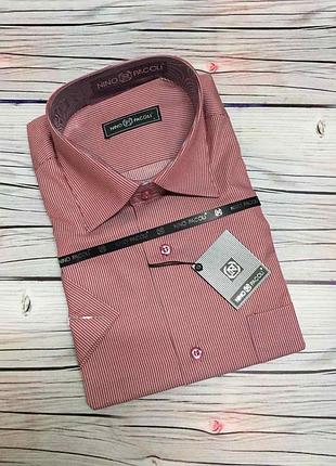 Чоловіча сорочка 🇹🇷 короткий рукав