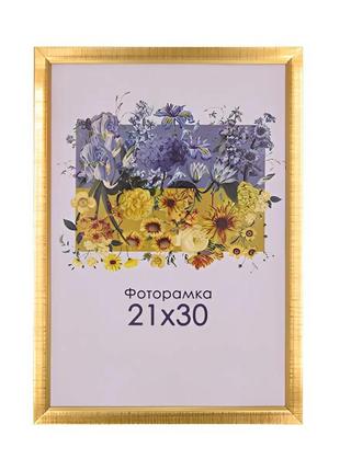 Фоторамка золота   30х40 а3 з склом (пластиковий багет)
