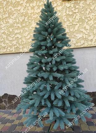 Лита ялинка буковельська 2.50 м блакитна
