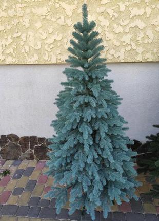 Лита ялинка ковалевська 3.00 м блакитна