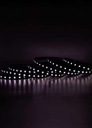 Готовий набір стрічки prolum™ 24v; 5x13;чорний; 5m; rgb full color