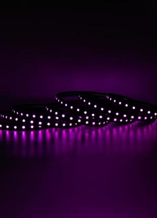 Готовий набір стрічки prolum™ 24v; 5x13;чорний; 5m; rgb full color