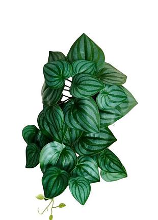 Искусственный кущ малый пеперомия зеленая h30*35 см пропитка