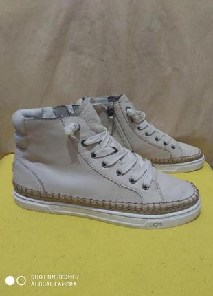 Кожаные кроссовки ботинки ugg