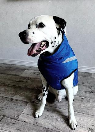 Жилет для собак