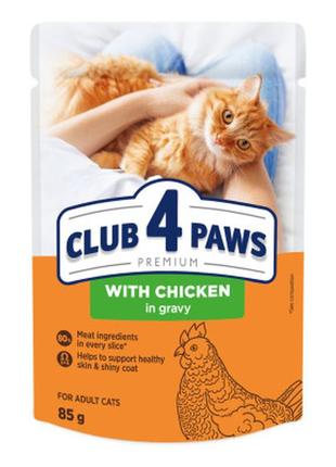 Вологий корм для кішок club 4 paws premium плюс з куркою в соусі 85 г (4820215368995)