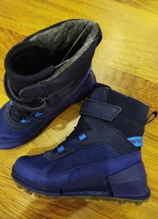 Ботинки зимние Snow Boots modtray ecco GORE-TEX Sp (711212)