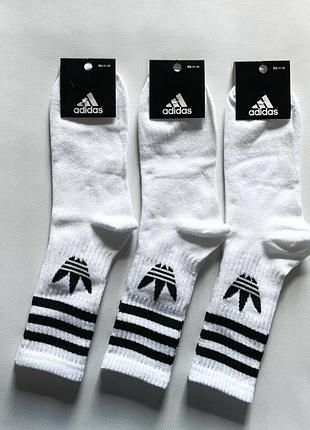 Чоловічі шкарпетки adidas
