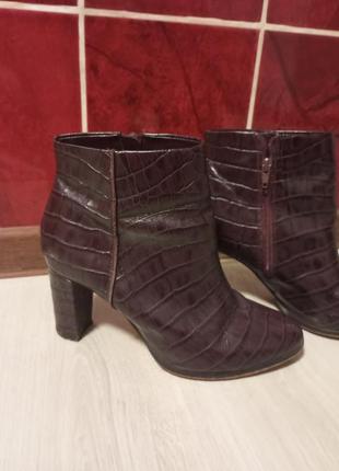 Ботильйони 39 розмір clarks