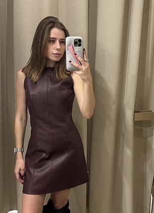 Сукня boutique bunny 3