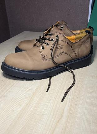 Худи с изображением дерева sprint timberland