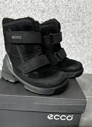 Ботинки детские ecco
