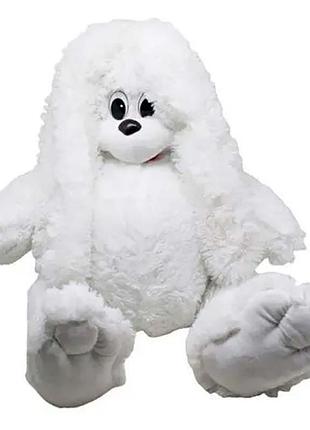 Зайка сєня (в) 0022 україна