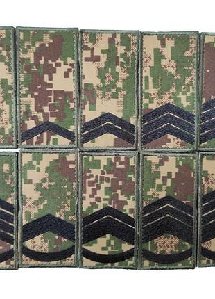 Погон нгу сержант хижак