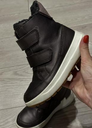 Зимние сапоги ecco