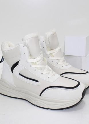 Бежевые зимние кроссовки на молнии и шнурках