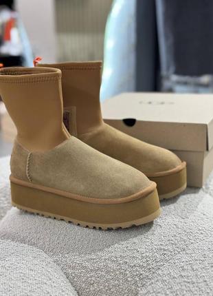 Ugg dipper угги угги угги2 фото