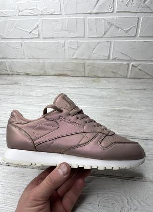 Крутые кожаные кроссовки reebok classic пудра