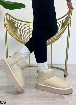 Базовые натуральные угги молочные