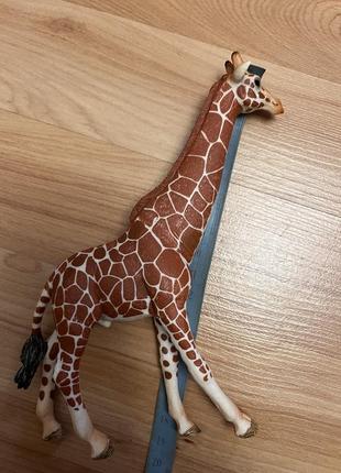 Іграшка фігурка 18 см жираф schleich