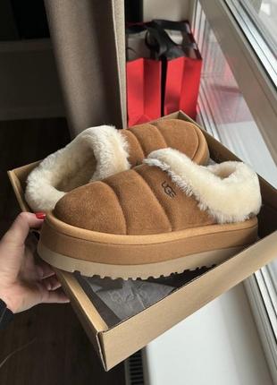 Ugg platform угги уг платформа ржи замшевые овчина