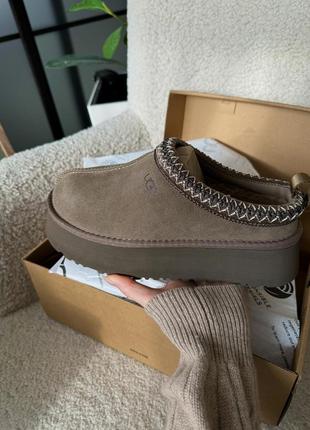 Замшеві тапочки ugg tazz