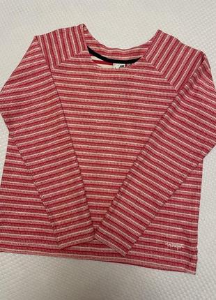 Кофта котон