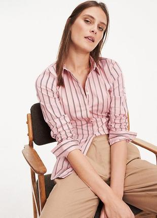 Сорочка рожевого кольору у фірмову смужку приталеного крою tommy hilfiger made in sri lanka