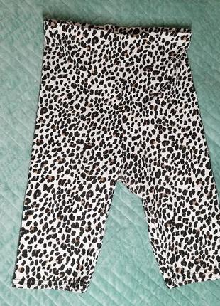 Велосипедки