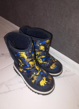 Зимові дутики